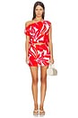 view 5 of 6 Ravelo Mini Skirt in Red & White Leaf