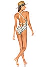 view 1 of 4 Shady Fronds One Piece Swimsuit in Tropical