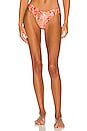 view 1 of 4 Montego V Bikini Bottoms in Multi