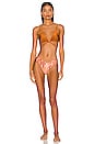 view 4 of 4 Montego V Bikini Bottoms in Multi