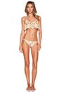 view 4 of 4 BRAGUITA BIKINI PEACHY BLOOM in Multi