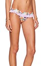 view 2 of 4 Wild Keepsake Bikini Bottom in Multi