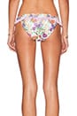 view 3 of 4 Wild Keepsake Bikini Bottom in Multi