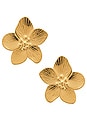 view 1 of 2 Bohemian Blossom Earrings in Gold