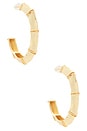 view 1 of 3 CRÉOLES VOTUM in Gold