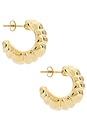 view 2 of 3 Logan Earrings in Gold