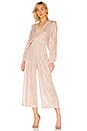 view 1 of 4 Zoza Jumpsuit in Blush Stripe