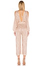 view 3 of 4 Zoza Jumpsuit in Blush Stripe