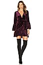 view 1 of 3 Corrine Dress in Plum