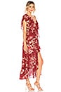 view 2 of 3 Talya Dress in Red Floral