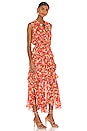 view 3 of 4 Ilona Dress in Mandarin Fan