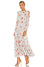 view 1 of 4 Anya Dress in Daydream Floral