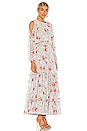view 3 of 4 Anya Dress in Daydream Floral