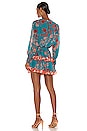 view 3 of 3 Camila Dress in Talitha Paisley Combo