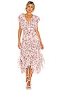 view 1 of 4 Dakota Dress in Siena Floral