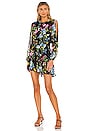 view 1 of 3 Callae Dress in Flora Allover