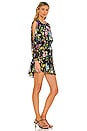 view 2 of 3 Callae Dress in Flora Allover