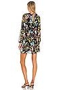 view 3 of 3 Callae Dress in Flora Allover