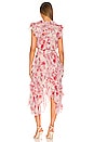 view 3 of 3 Dakota Dress in Abstract Rose Flora