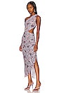 view 3 of 4 Aries Dress in Feathered Floral
