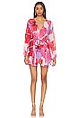 view 1 of 4 Kaia Mini Dress in Poppy Love