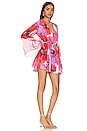 view 2 of 4 Kaia Mini Dress in Poppy Love