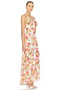 view 2 of 3 Negine Maxi Dress in Palmarei Blooms Mix