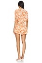 view 3 of 3 Becca Dress in Patmos Tangerine