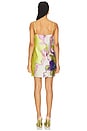 view 4 of 4 Maxine Dress in Marble Floral