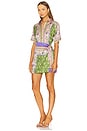 view 2 of 3 MINIVESTIDO KEZIA in Matcha Love