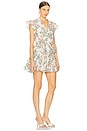 view 2 of 3 Iliana Dress in Spring Ditsy