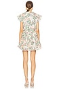 view 3 of 3 Iliana Dress in Spring Ditsy
