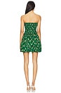 view 3 of 3 Sadie Dress in Tulip Lattice