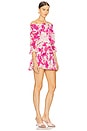 view 2 of 3 Darla Dress in Flora Fuchsia