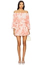 view 1 of 3 Zonia Dress in Coral Blooms