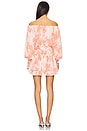 view 3 of 3 Zonia Dress in Coral Blooms