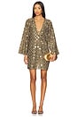 view 1 of 5 Nuala Dress in Brown