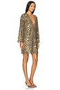 view 3 of 5 Nuala Dress in Brown