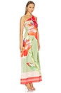 view 2 of 4 Dounia Dress in Scarf Flora