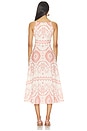 view 3 of 3 Amity Midi Dress in Terra Ceramic