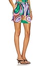 view 2 of 6 Elam Shorts in Butterfly Mr Allover