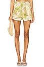 view 1 of 6 Noah Shorts in Chartreuse Abstract