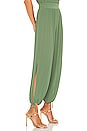 view 2 of 5 Zahara Pants in Sage