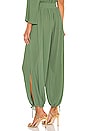 view 3 of 5 Zahara Pants in Sage