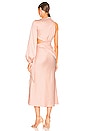 view 4 of 4 Maryan Dress in Rose Cloud