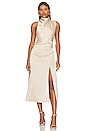 view 1 of 3 Robbia Dress in Champagne
