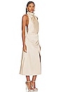 view 2 of 3 Robbia Dress in Champagne