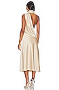 view 3 of 3 Robbia Dress in Champagne