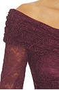 view 4 of 4 The Kali Ruffle Lace Dress in Currant