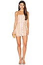 view 1 of 1 Britt Mini Dress in Nude